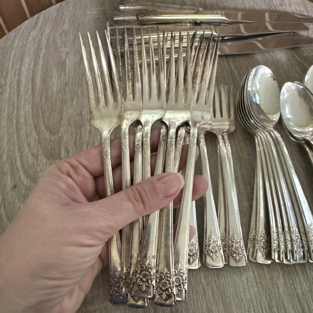 Lot of 48 Pcs Wm Rogers MOUNTAIN ROSE International Silver Plate 1954